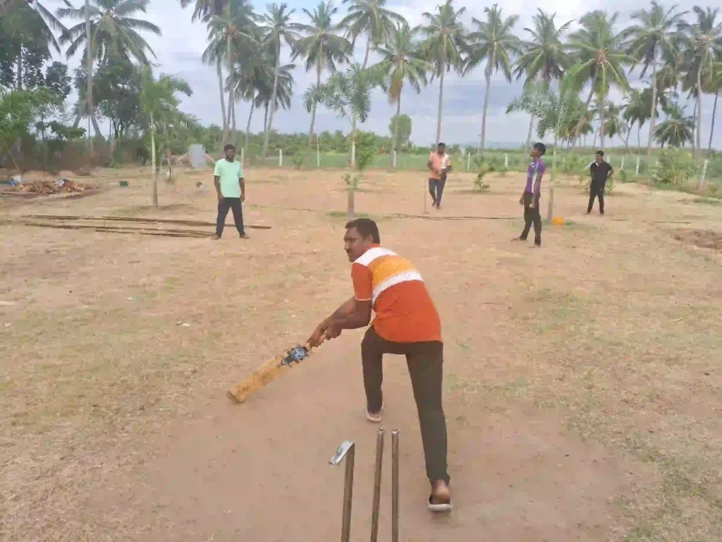 Our clients enjoying the evening playing cricket